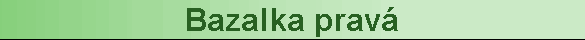 Bazalka prav
