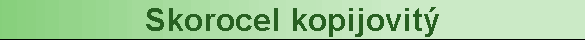 Skorocel kopijovit